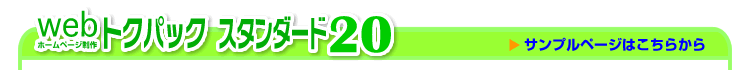 �X�^���_�[�h20